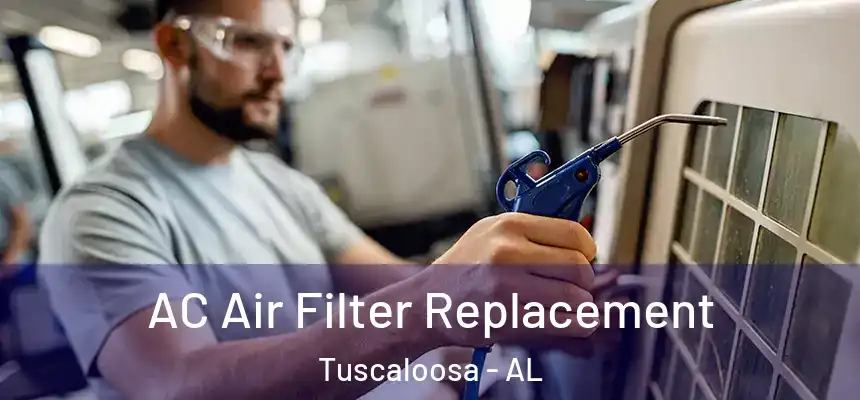 AC Air Filter Replacement Tuscaloosa - AL