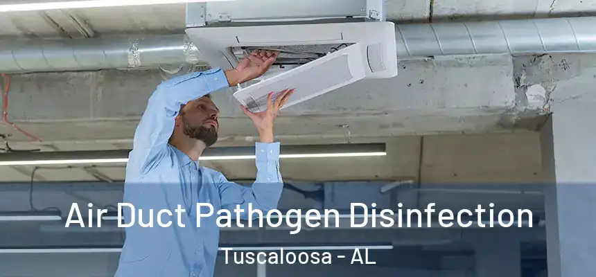 Air Duct Pathogen Disinfection Tuscaloosa - AL