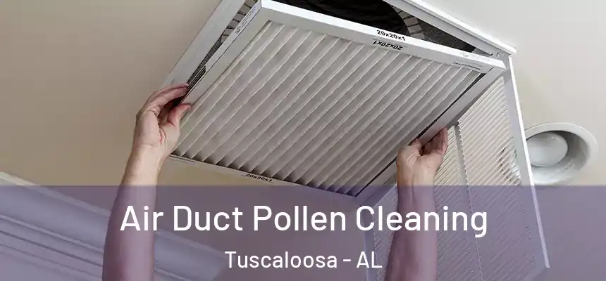 Air Duct Pollen Cleaning Tuscaloosa - AL