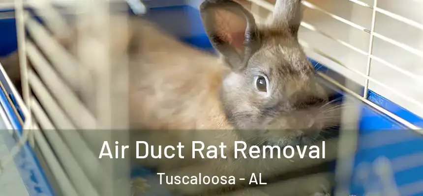 Air Duct Rat Removal Tuscaloosa - AL