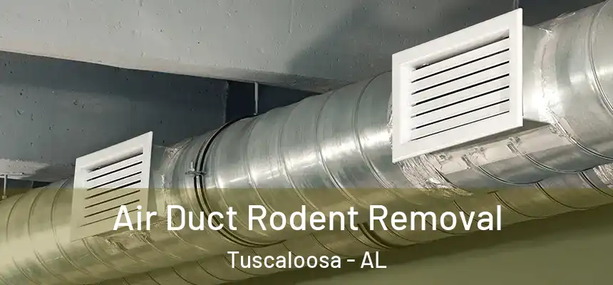 Air Duct Rodent Removal Tuscaloosa - AL