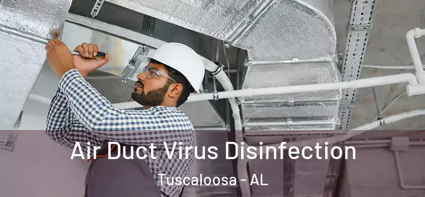  Air Duct Virus Disinfection Tuscaloosa - AL