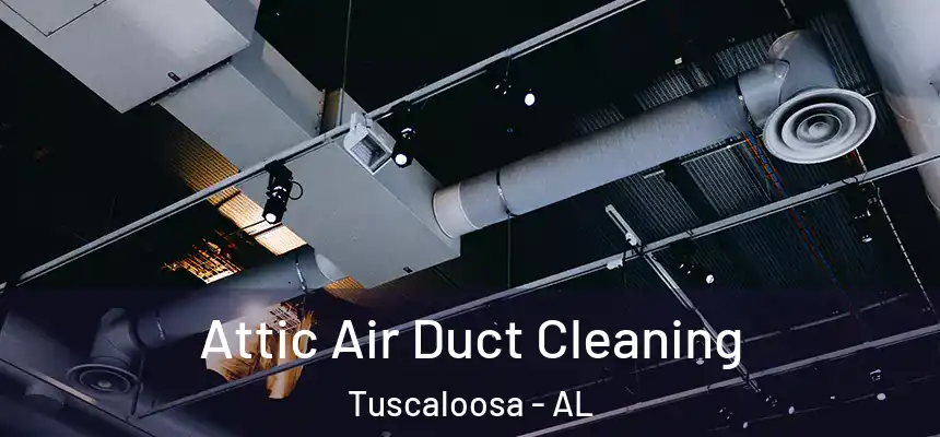 Attic Air Duct Cleaning Tuscaloosa - AL