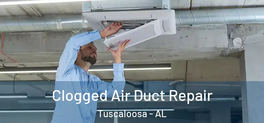 Clogged Air Duct Repair Tuscaloosa - AL