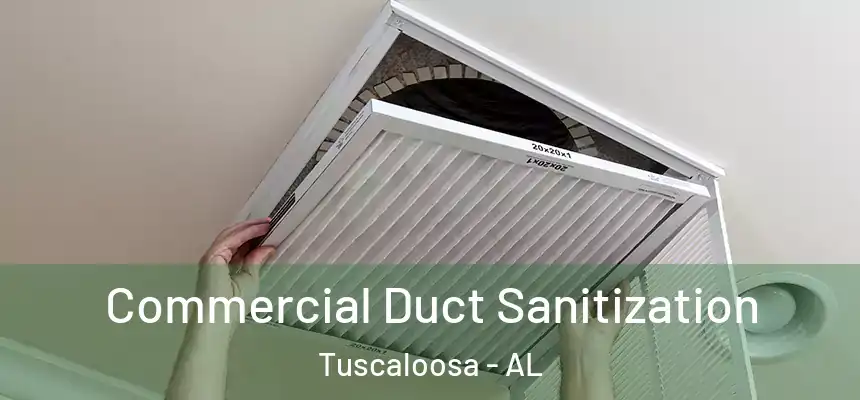 Commercial Duct Sanitization Tuscaloosa - AL