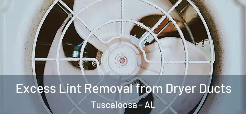 Excess Lint Removal from Dryer Ducts Tuscaloosa - AL