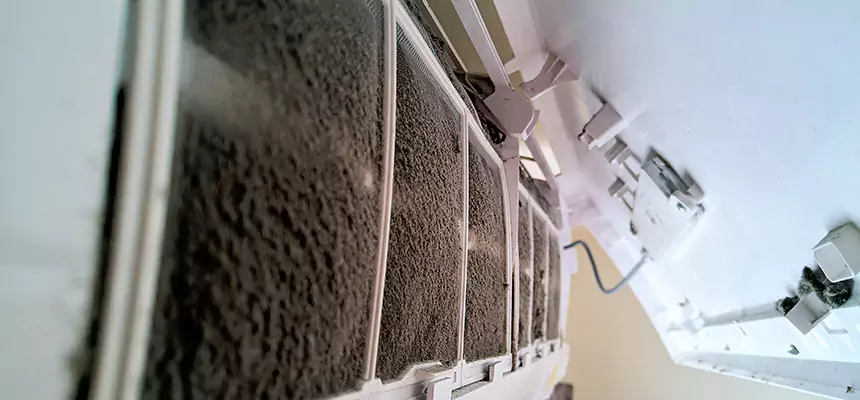 Preventive Air Duct Bacteria Removal in Tuscaloosa