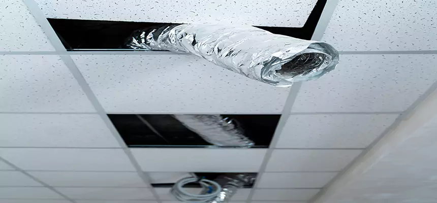 Our Air Duct Pet Hair Removal Services in Tuscaloosa, AL