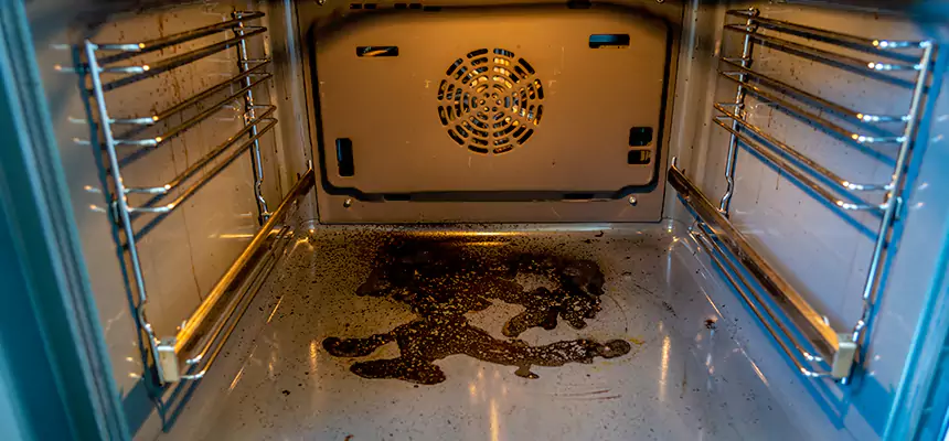 Our Dryer Vent Mold Cleaning Services in Tuscaloosa, AL