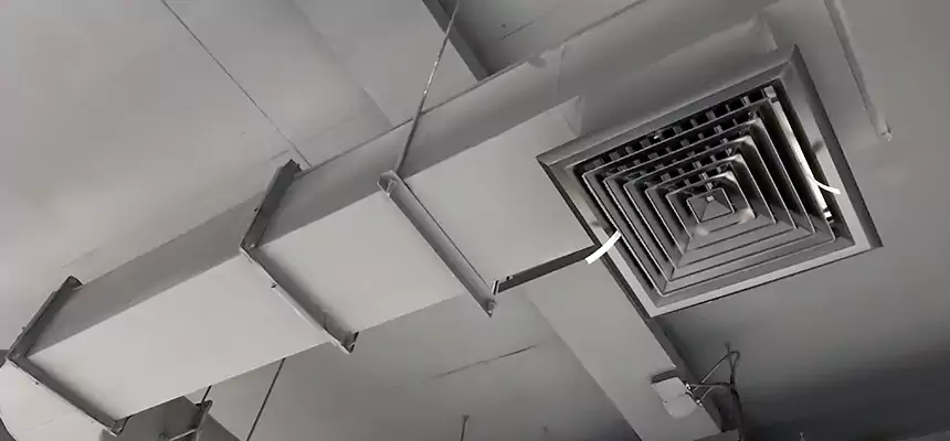 Our Pest Removal From Ducts Services in Tuscaloosa, AL