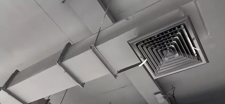 Our Rodent Droppings In Vents Services in Tuscaloosa, AL