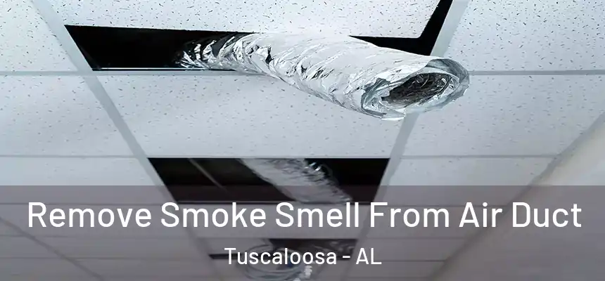Remove Smoke Smell From Air Duct Tuscaloosa - AL