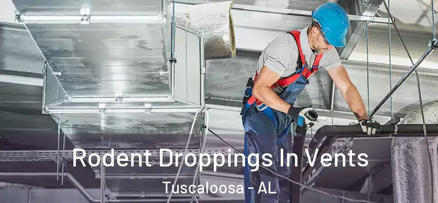 Rodent Droppings In Vents Tuscaloosa - AL