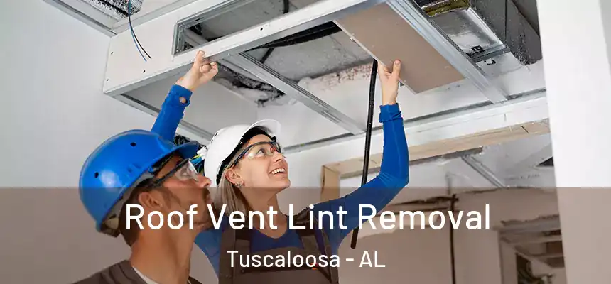 Roof Vent Lint Removal Tuscaloosa - AL