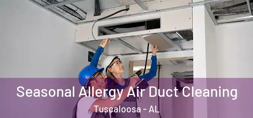 Seasonal Allergy Air Duct Cleaning Tuscaloosa - AL