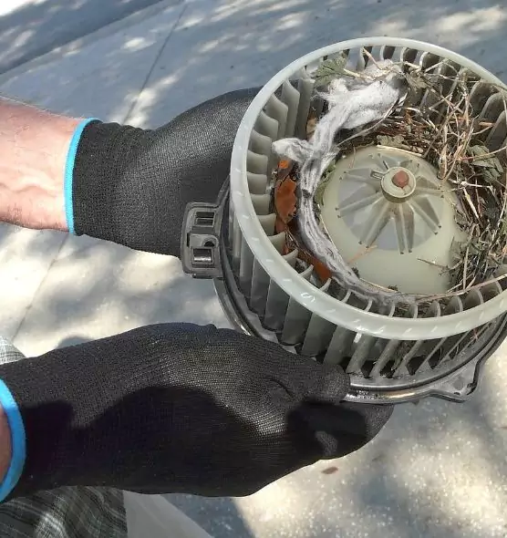 About Air Duct Rat Removal in Tuscaloosa, AL