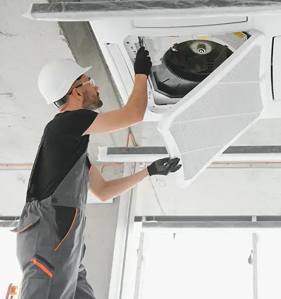 About Air Duct Rodent Removal in Tuscaloosa, AL