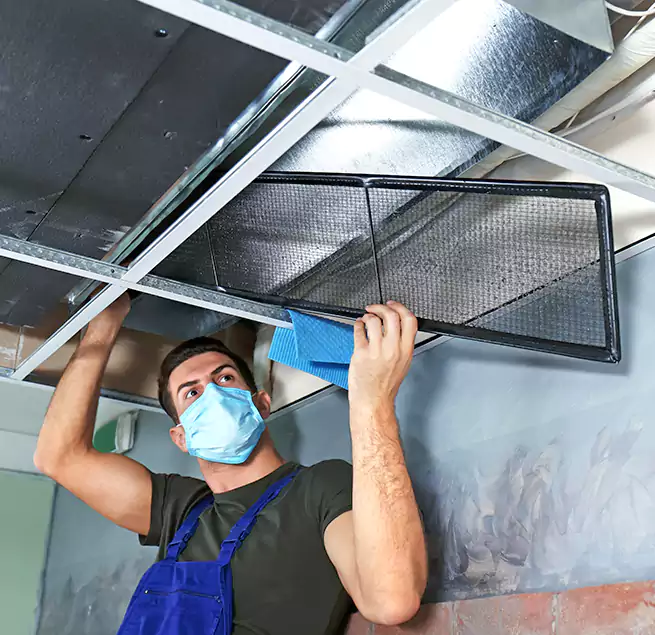 Why Homeowners Businesses Trust Us in Tuscaloosa, AL