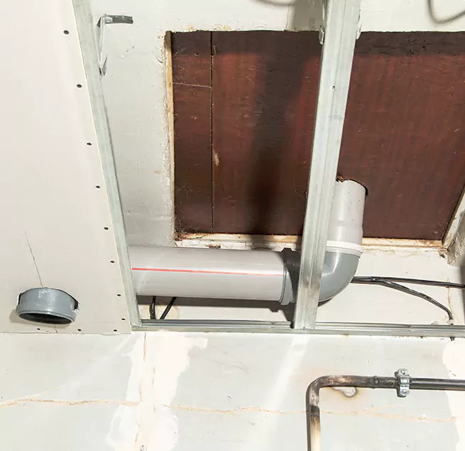 Why Homeowners & Businesses Trust Us in Tuscaloosa, AL?