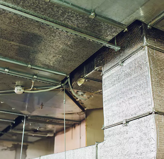 Why Homeowners & Businesses Trust Us in Tuscaloosa, AL?