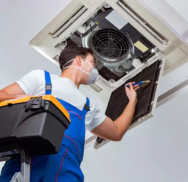 Why Homeowners & Businesses Trust Us in Tuscaloosa, AL?